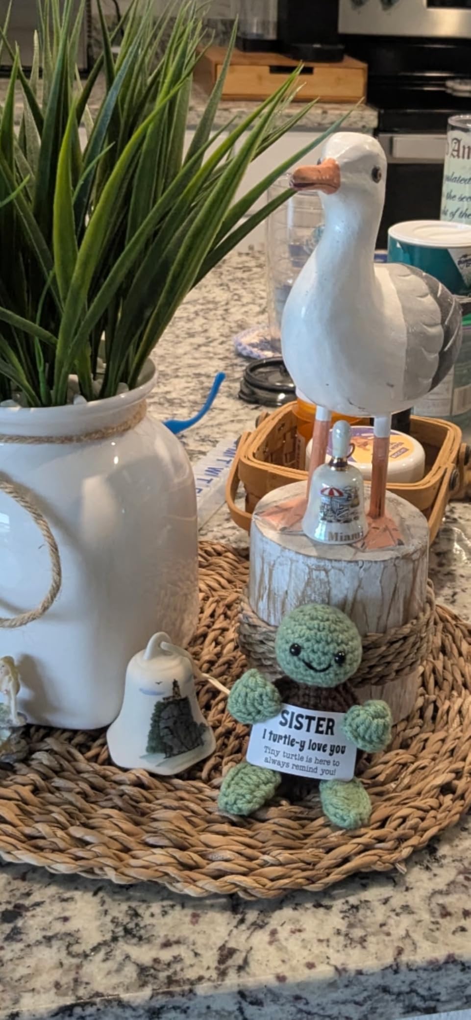 4THFARMES Mini Funny Turtle Graduation Gifts for Her Him College High Middle Elementary School Preschool Kindergarten Graduation Gifts, 2026 Graduates Handmade Emotional Positive Crochet Turtle customer photo 2