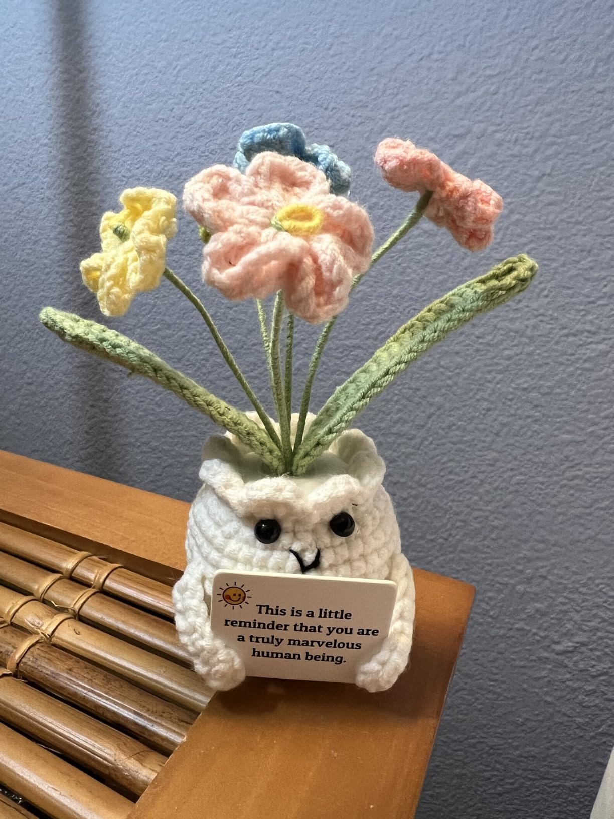 Forget-Me-Not Crochet Flower Potted Plant Gift | Difference You Make Gift, Boss Day, Teacher Appreciation, Coworker & Nurse, Thank You Gift, Desk Decor, 4.7 In H x 2.4 In W customer photo 1