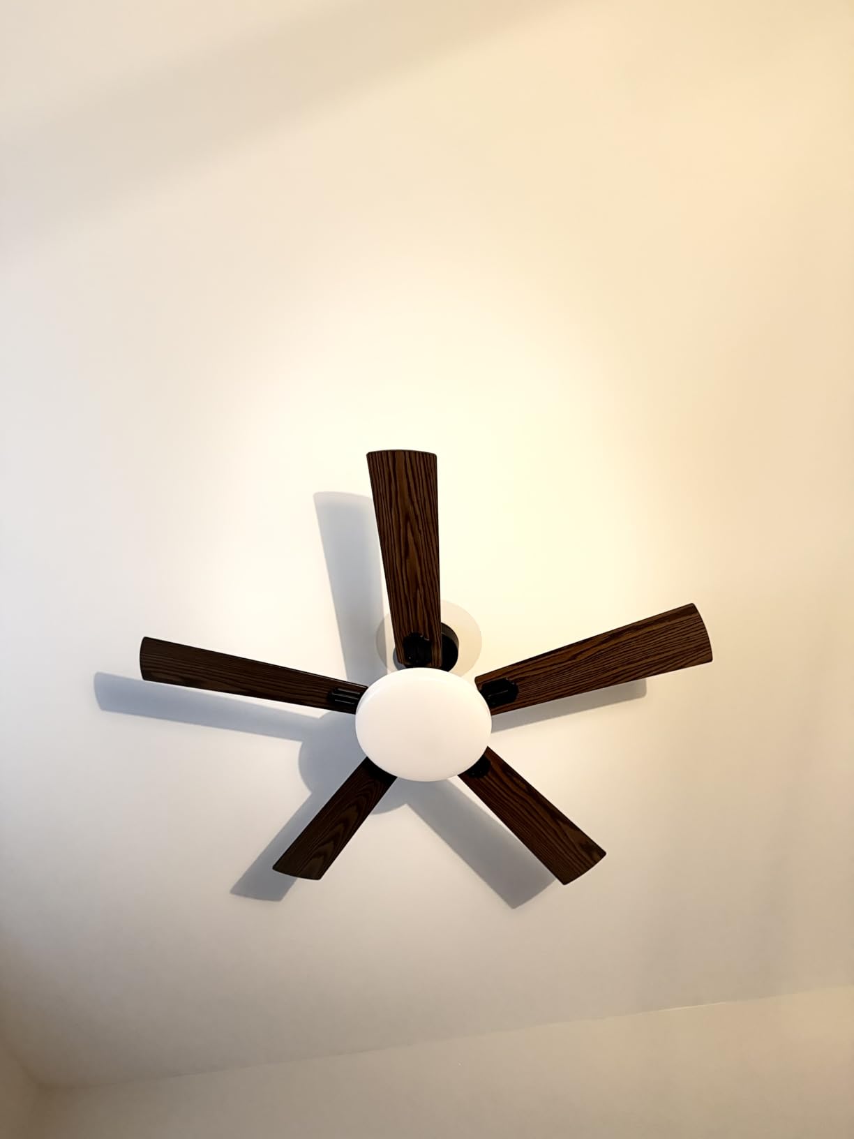 Passky 52 Inch Black Sleek Ceiling Fans with Lights, Remote Control | 3-color dimmable light, quiet reversible DC motor, easy install, memory, Timer, APP, bedroom, covered outdoor areas customer photo 2