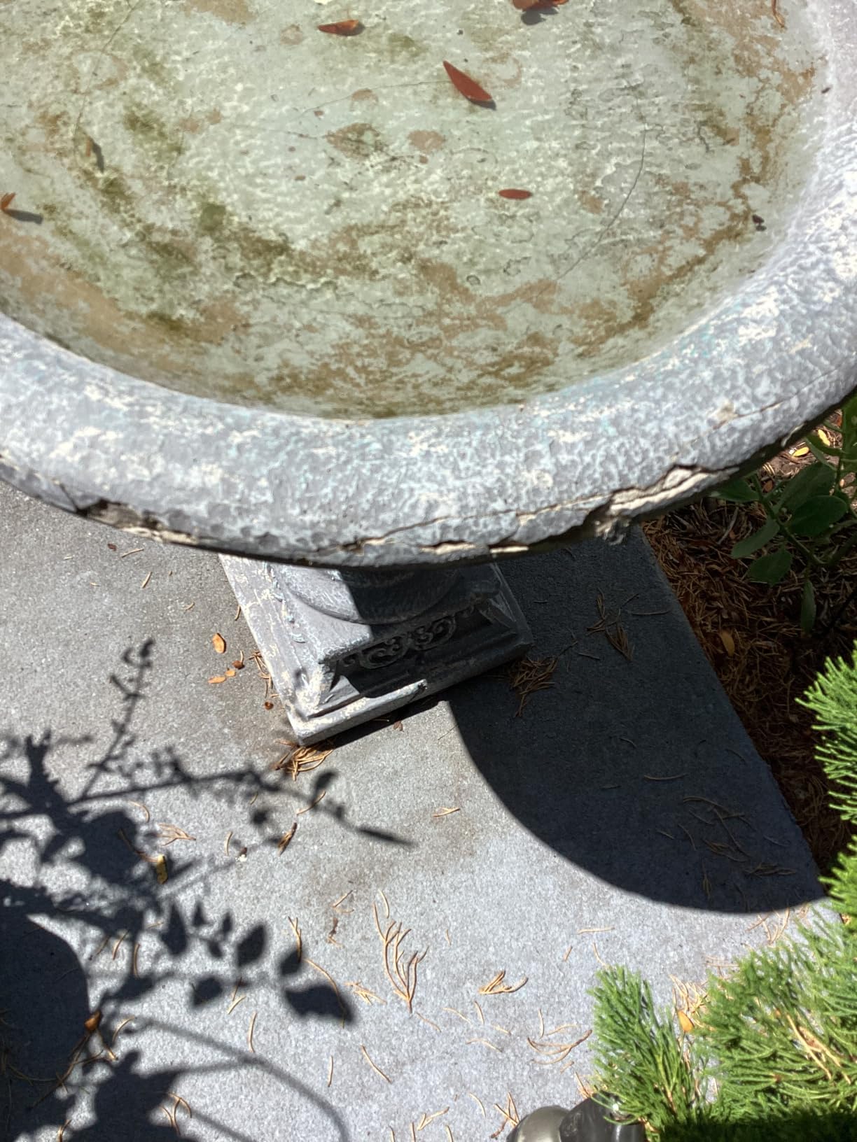 SunJet 23.8 Inch High Concrete Bird Bath with Carved Pedestal - Birdbath Sturdy & Elegant Design, Stone-Like Texture, Attracts Birds and Enhances Garden, Patio, Yard, Lawn Decor customer photo 1
