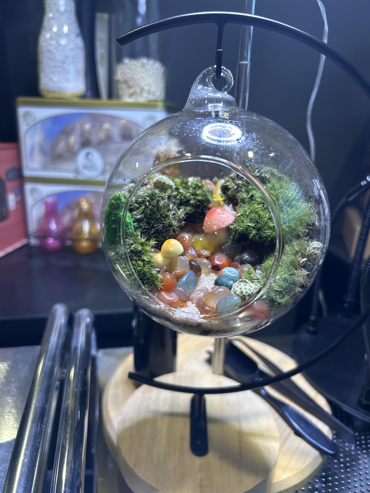 LuckyRunes DIY Terrarium Kit with Live Moss, 15-Piece Glass Globe Set | Complete DIY Experience, Beginner Friendly, Wooden Display Stand, Gift-Ready Set, Indoor Nature Decor, Easy Assembly customer photo 1