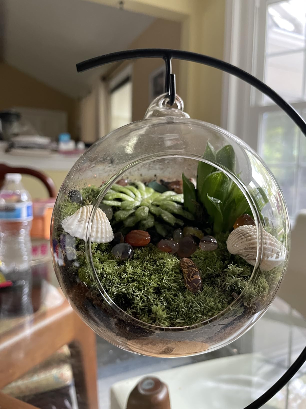 LuckyRunes DIY Terrarium Kit with Live Moss, 15-Piece Glass Globe Set | Complete DIY Experience, Beginner Friendly, Wooden Display Stand, Gift-Ready Set, Indoor Nature Decor, Easy Assembly customer photo 2