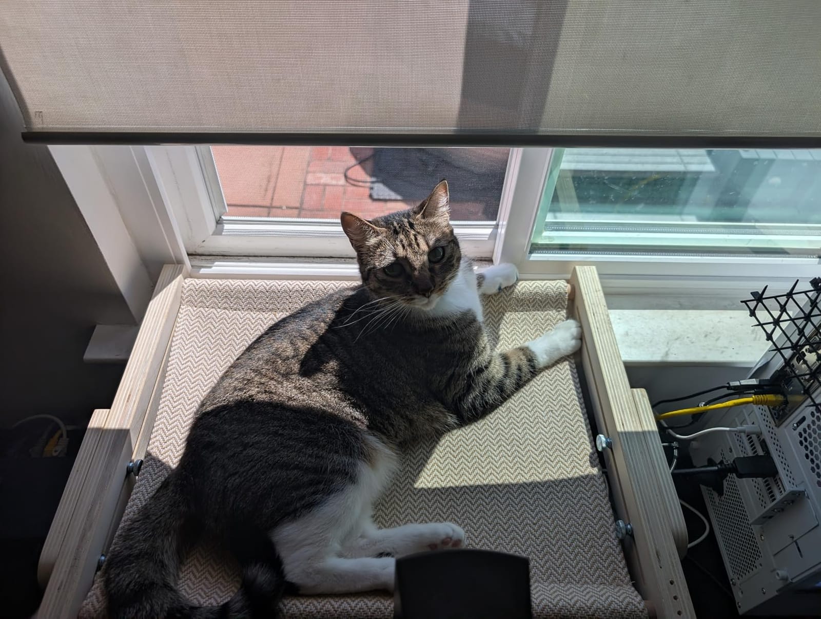 FUKUMARU Cat Window Perch, Sturdy Wood Hammock Window Bed for Indoor Cats | 3-in-1 Convertible Cat Bed for Windowsill, Bedside & Floor, Reinforced Metal Frame Hammock with Washable Linen Fabric customer photo 1