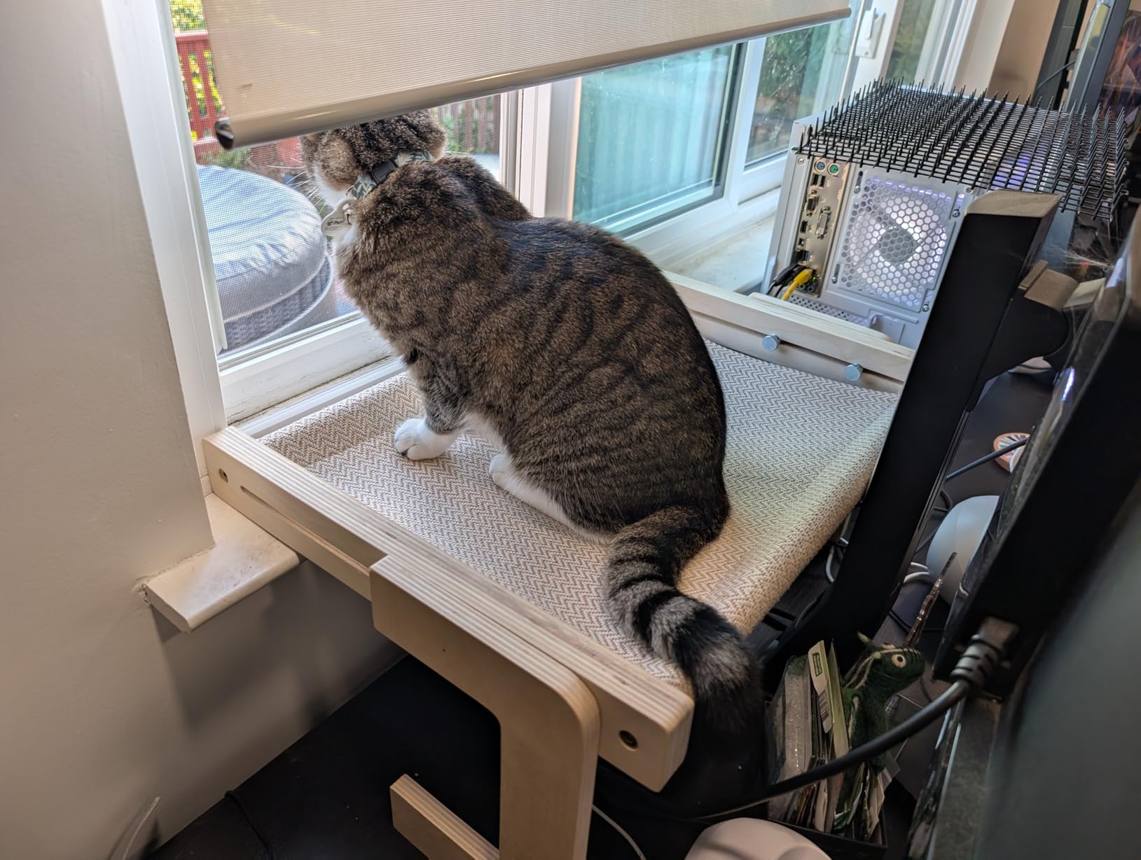FUKUMARU Cat Window Perch, Sturdy Wood Hammock Window Bed for Indoor Cats | 3-in-1 Convertible Cat Bed for Windowsill, Bedside & Floor, Reinforced Metal Frame Hammock with Washable Linen Fabric customer photo 2