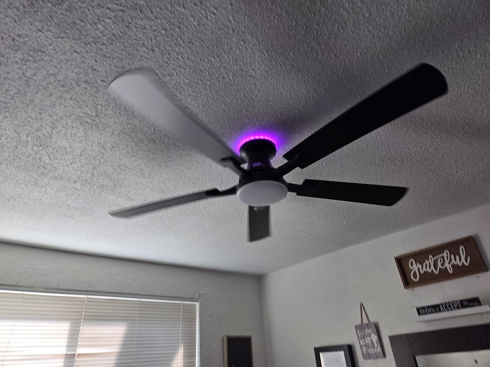 ZMISHIBO 52 Inch Smart Ceiling Fan with RGB Light, Alexa/App/Remote Control | 3000-6000K Dimmable LED, Google Control, WiFi, Low Profile Flush Mount, Reversible Motor, Modern Black for Bedroom/Game Room customer photo 1