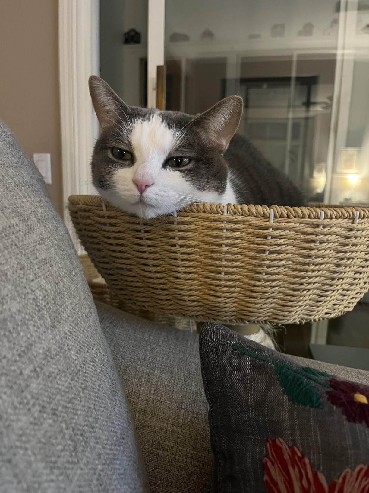 SHENGOCASE Modern Cat Tree Tower, Wooden Condo, 3 Large Rattan Wicker Basket Beds, Window Perch for Cats up to 20 lbs customer photo 1
