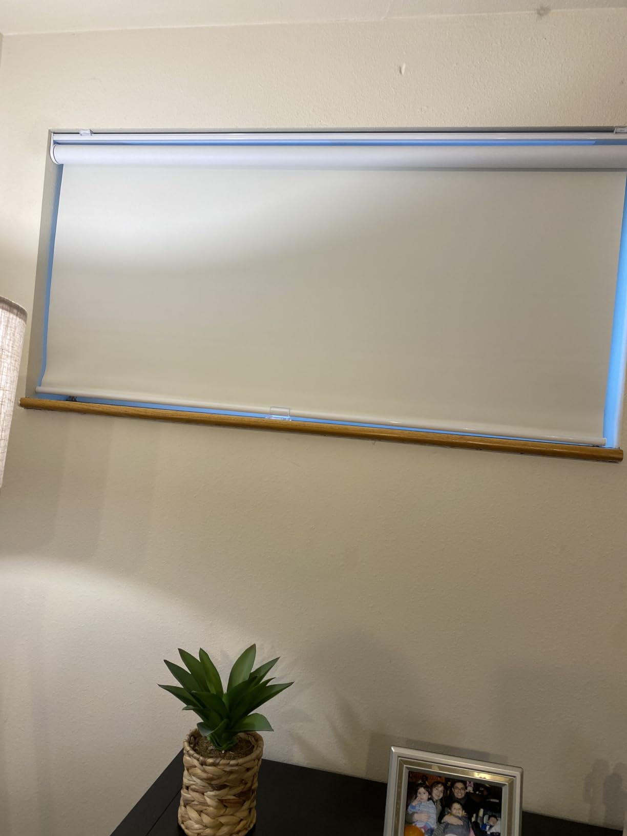 MYshade Blackout Cordless Roller Shades, Room Darkening Free-Stop Roll Up Blinds for Windows, Pull Down Blocking Blind for Home and Office, Easy to Install, 36