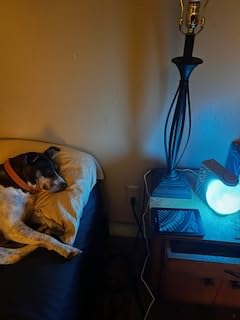 RETEYUNG Sunrise Alarm Clocks Sound Machine Moon Lamp for bedrooms customer photo 2
