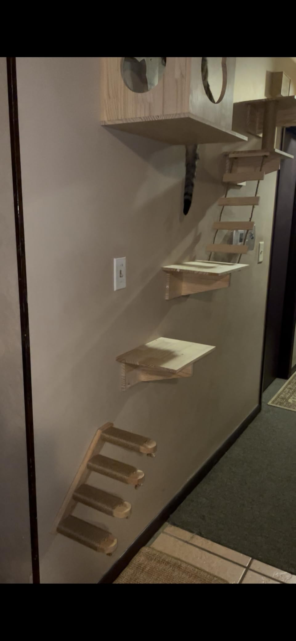 FUKUMARU Cat Climbing Shelf Wall Mounted, Large | Four Step Cat Stair, Natural Jute Scratching, Solid Rubber Wood, Kitten Shelves Furniture customer photo 1