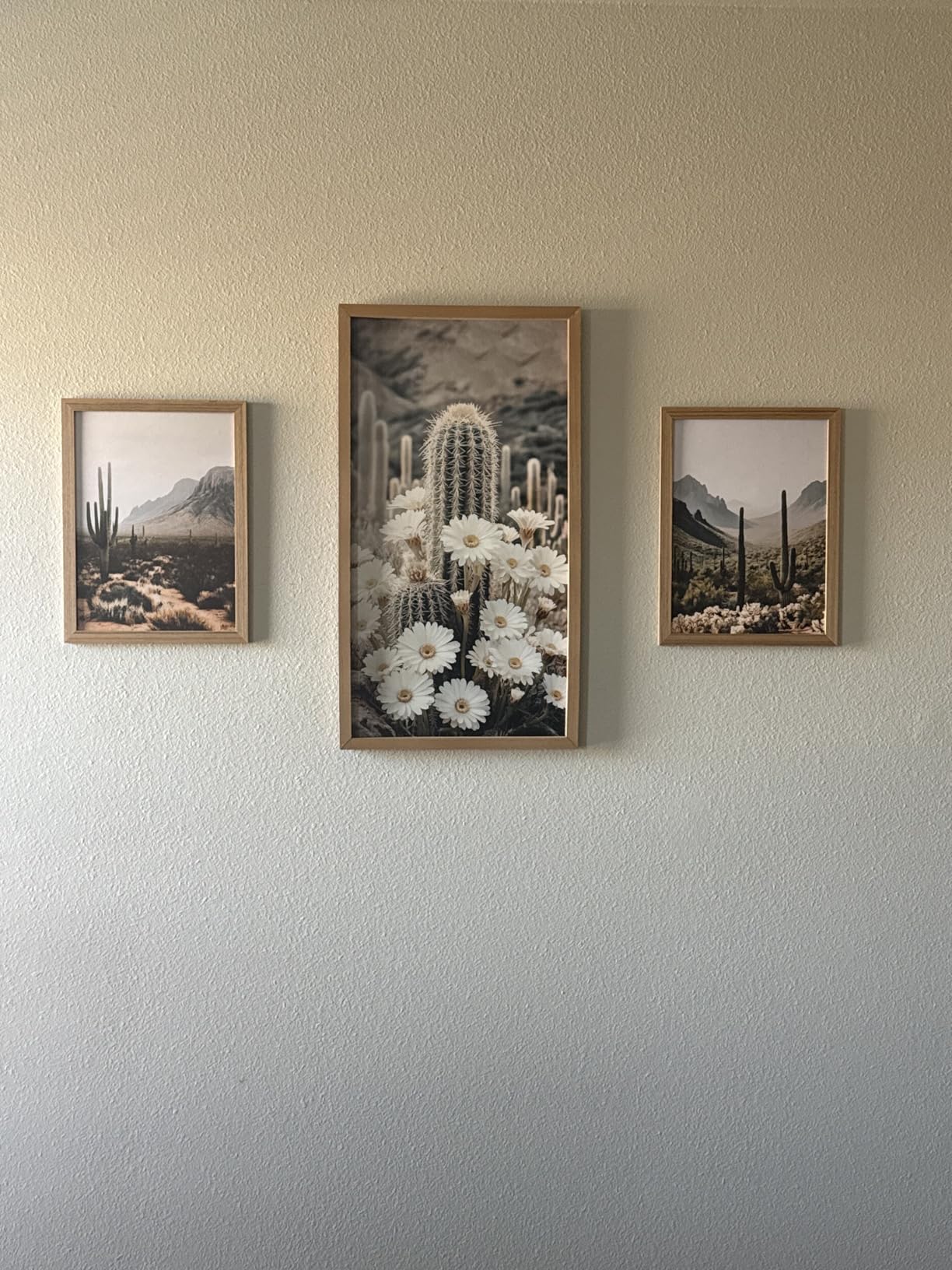 Framed Desert Landscape Wall Art Set of 3, Vintage Southwestern Cactus Wall Decor Paintings, Mexican Mountain Botanical Pictures Canvas Prints for Living Room Bedroom Bathroom Office 12x16 inch customer photo 2