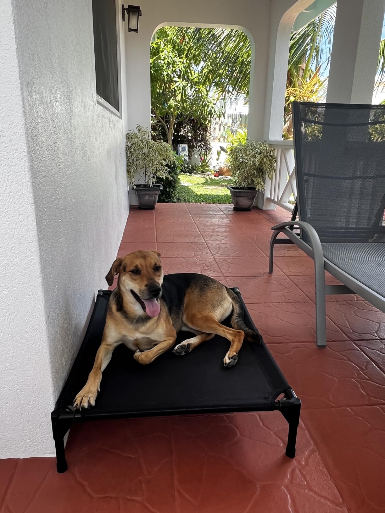 Garnpet Elevated Dog Bed for Large Dogs, Raised Dog Cot Fits Up to 120 LBs customer photo 2