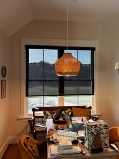 Persilux Free-Stop Cordless Roller Shades for Windows Light Filtering Shades, 5% Openness Solar Screen Semi Sheer Roller Blinds UV Protection for Office and Home. Easy to Install 20