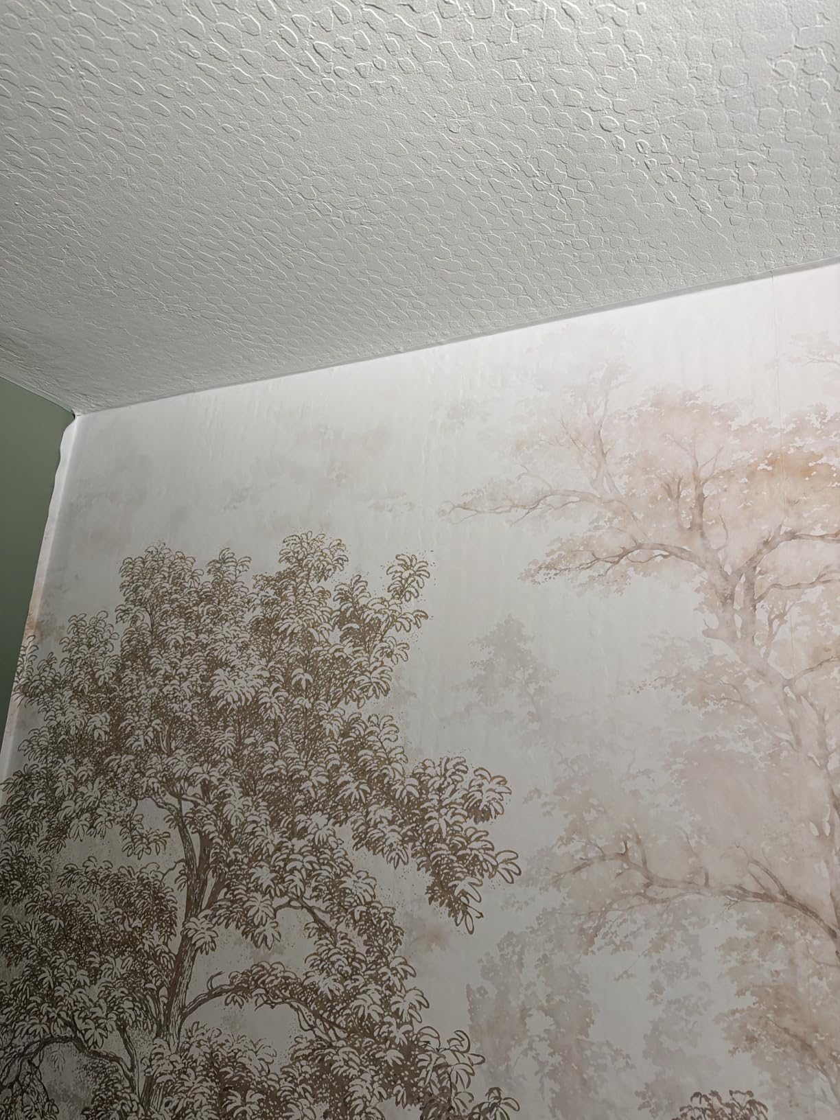 Beige Forest Peel and Stick Wallpaper Landscape Wall Mural | 173