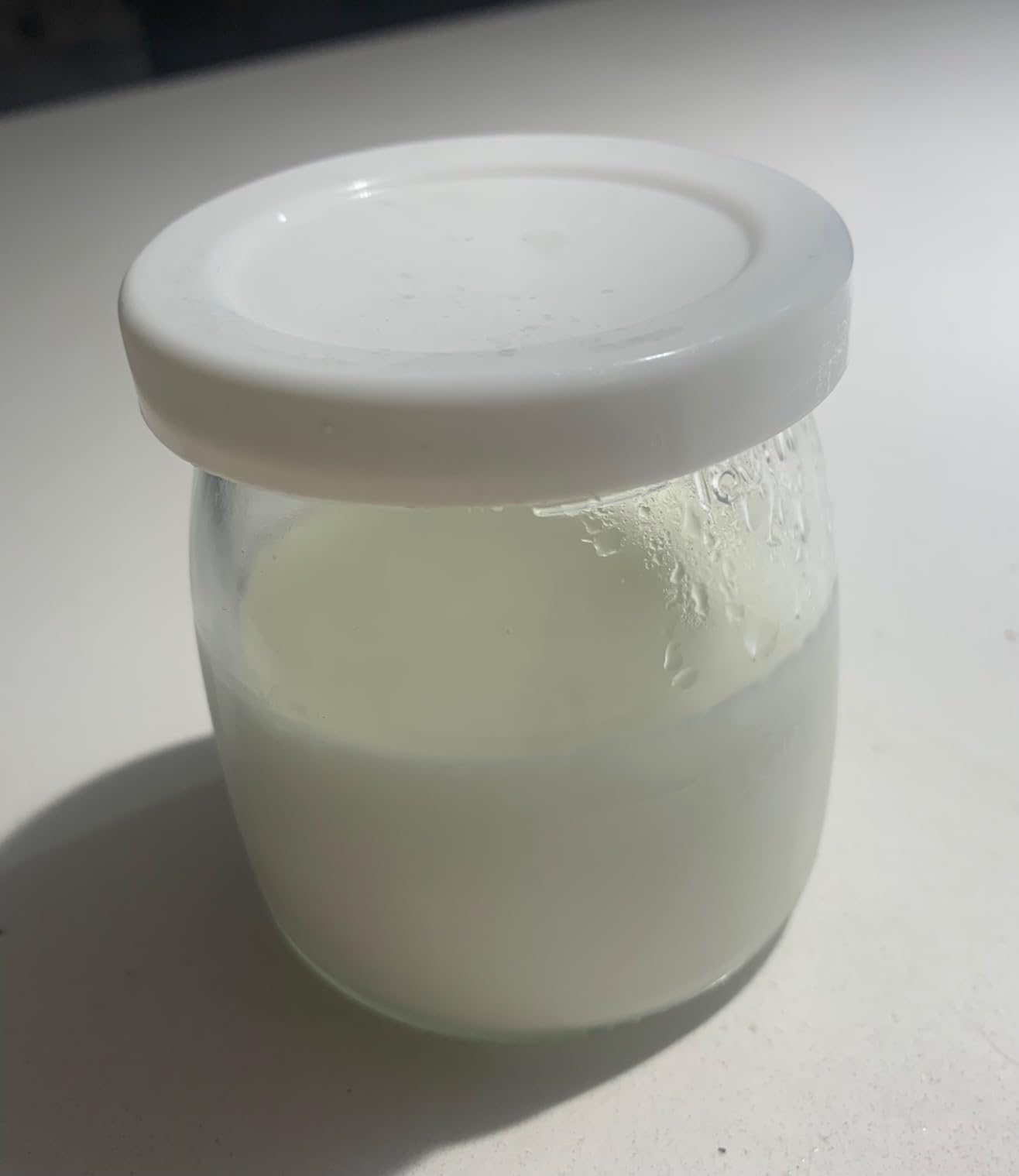 Ultimate Probiotic Yogurt Maker XL with 50% More Capacity, Adjustable Time & Temp Control, Make Trillions of Live Probiotics at Home to Support Gut Health, UNLIMITED LIFETIME WARRANTY (12-Jar Model) customer photo 2