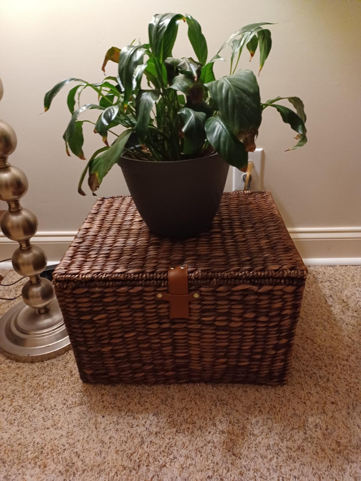 Best Choice Products Handwoven Water Hyacinth Rolling Filing Cabinet, Mobile File Organizer for Hanging Folders W/Lid and Locking Wheels For Home or Office - Chestnut customer photo 1