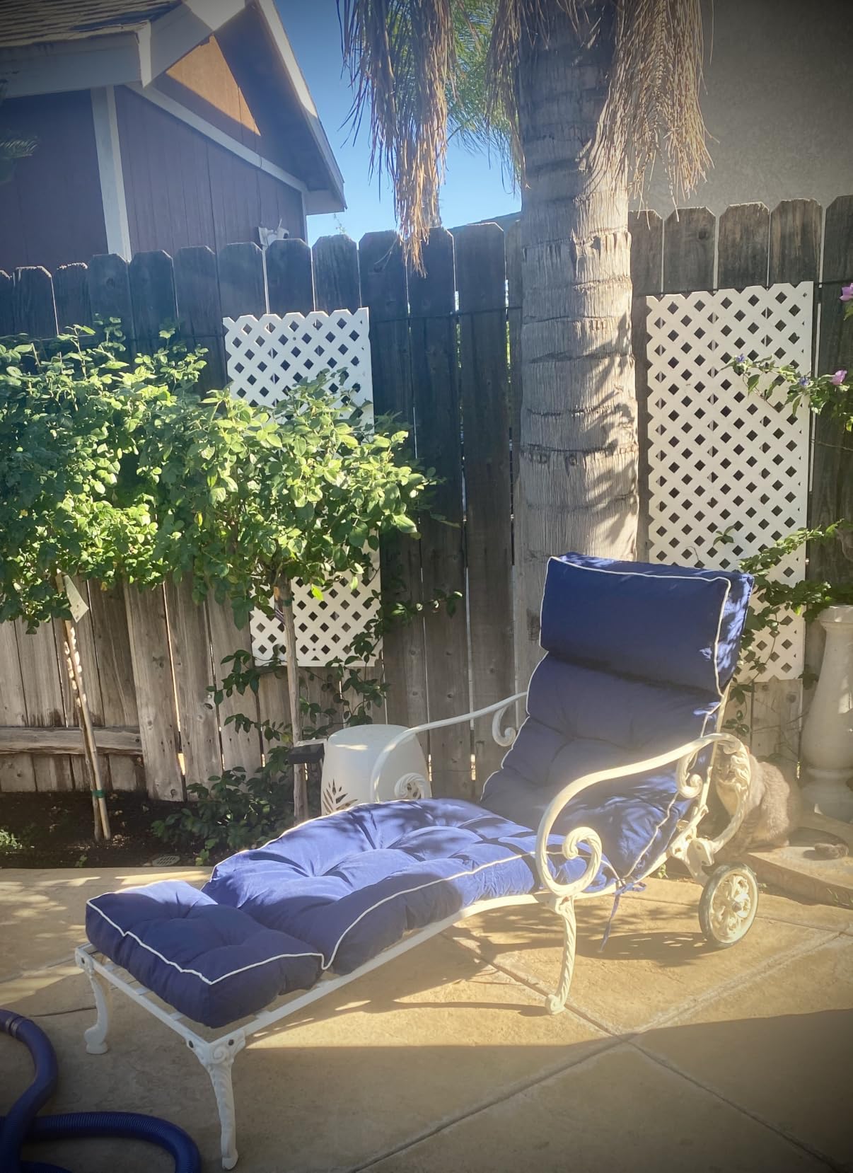 MAGIC ELEPHANT Chaise Lounge Cushion Outdoor, Memory Foam Replacement Patio Pool Lounge Chair Cushion with Ties for Outdoor Furniture, 74 x 22 x 4 Inch (Oxford Blue) customer photo 2