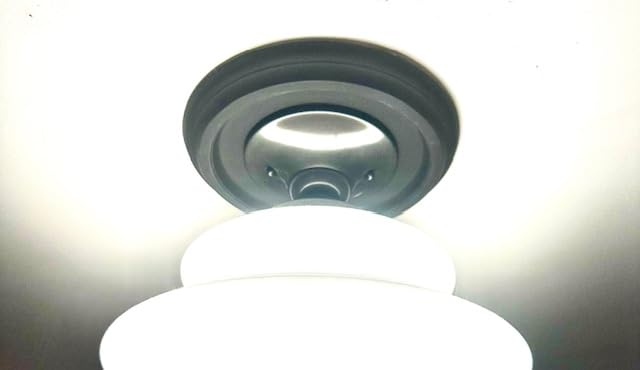 EIFHYT Primed Urethane Ceiling Medallion for Light Fixtures and Ceiling Fans, 18