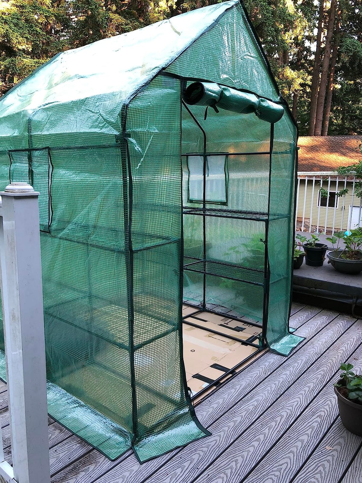 Ohuhu Plastic Greenhouse for Outdoors: Portable Walk in Plant Green House with Improved Transparent PVC Cover, 3 Tiers 12 Shelves Stands Small Greenhouses Backyard Green Houses for Outside Heavy Duty customer photo 1