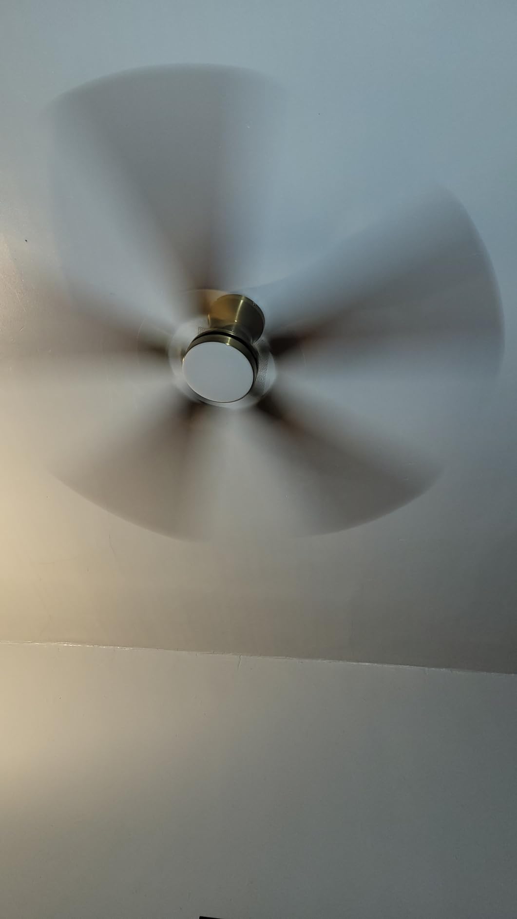 Fanbulous 52 inch Ceiling Fan with Light, Low Profile, App & Remote Control | Flush Mount, Stepless Dimming LED Light, Quiet Reversible DC Motor, Memory Function, Living Room, Bedroom, Patio, Black customer photo 1
