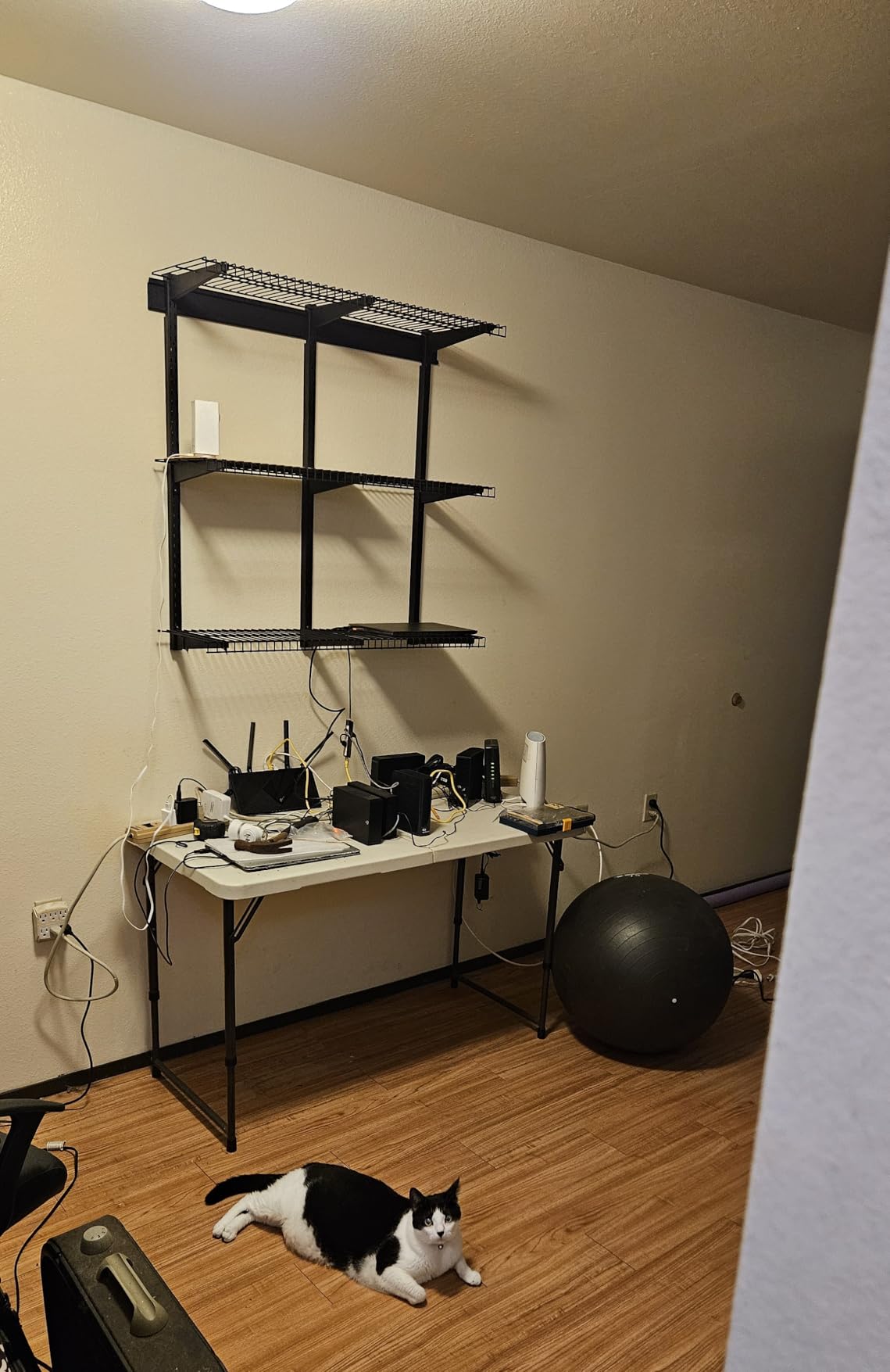 VEVOR 3-Tier Heavy Duty Wall Garage Shelving, 1 x 3 ft Steel Wall Mounted Shelving Unit, 11 x 36 Inch Per Shelf Floating Storage Metal Rack for Garage with 450 lbs Total Weight Capacity, Black customer photo 2