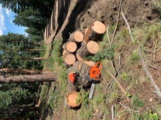 Husqvarna 965030298 455 Rancher 20-Inch 55-1/2cc 2-Stroke Gas-Powered Chain Saw, Orange (965030298) customer photo 2