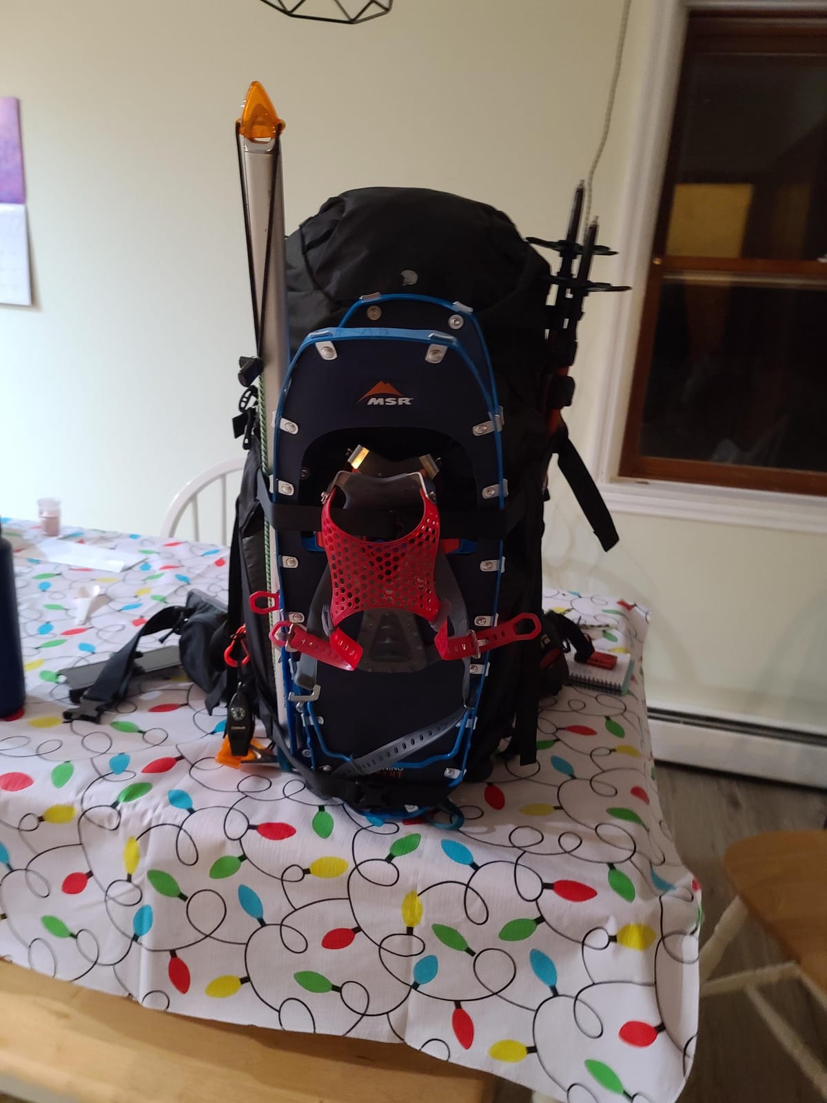 MSR Lightning Ascent customer photo 2