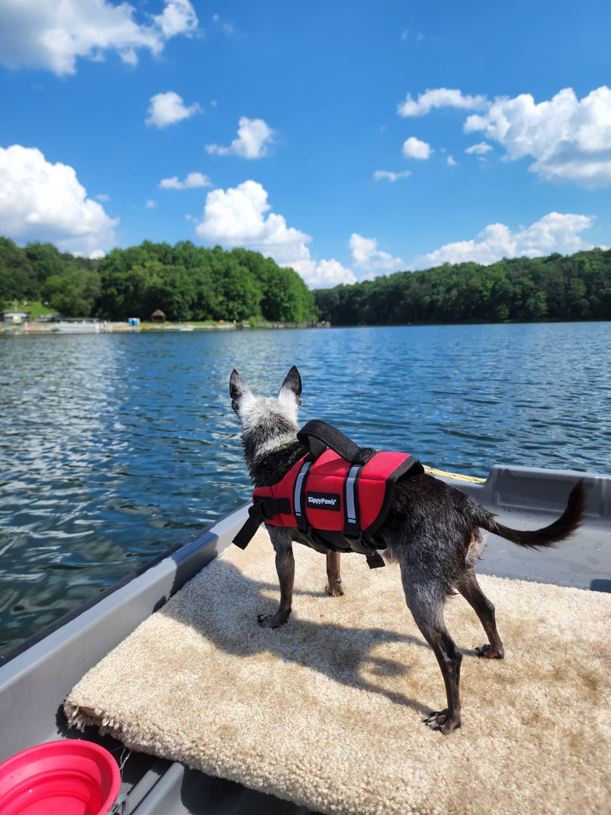 Stearns Adult Life Vest, USCG Approved Type III Life Jacket, PFD for Boating, Swimming, Watersports, & More, Standard & Oversized Fits customer photo 2