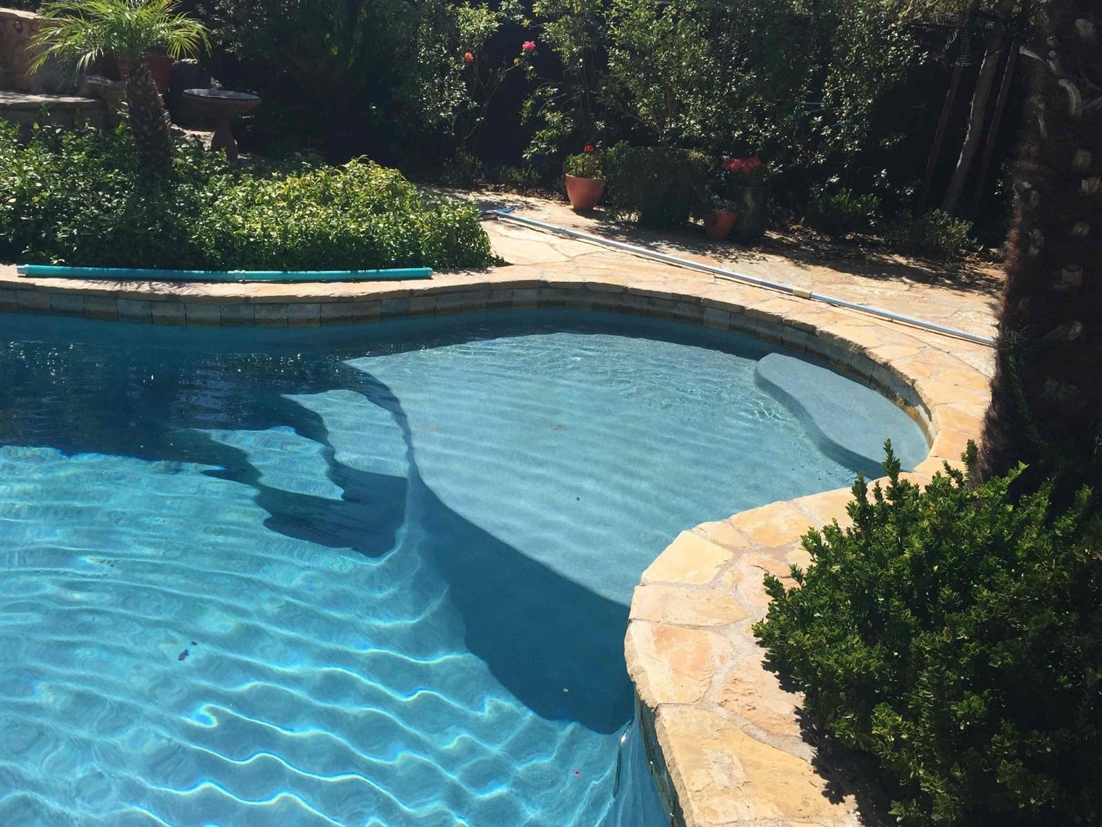 Zodiac G3 Suction-Side Inground Vacuum Pool Cleaner customer photo 2