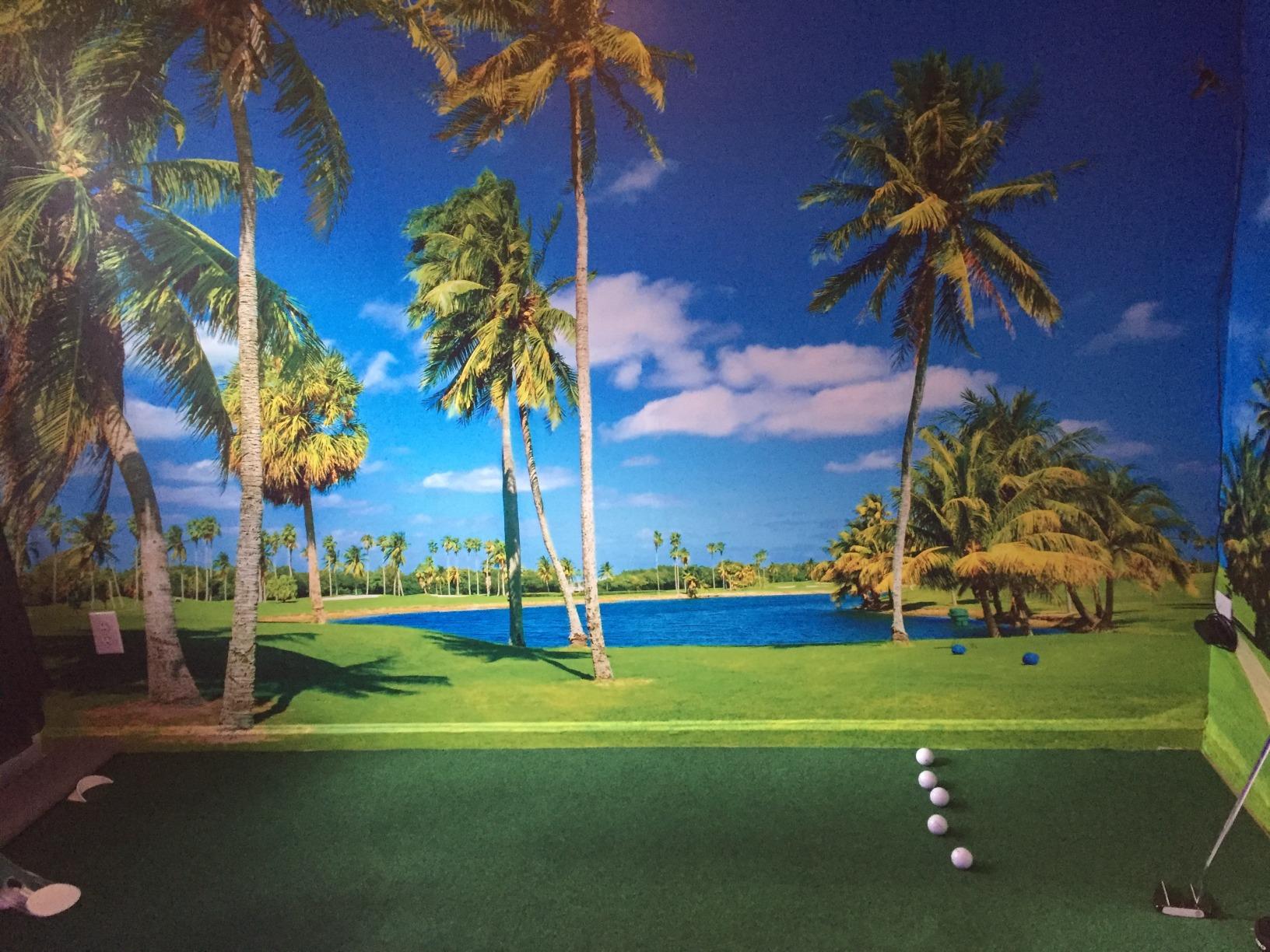 Putt-A-Bout Golf Putting Mat, 3 x 11-Feet, Green customer photo 2