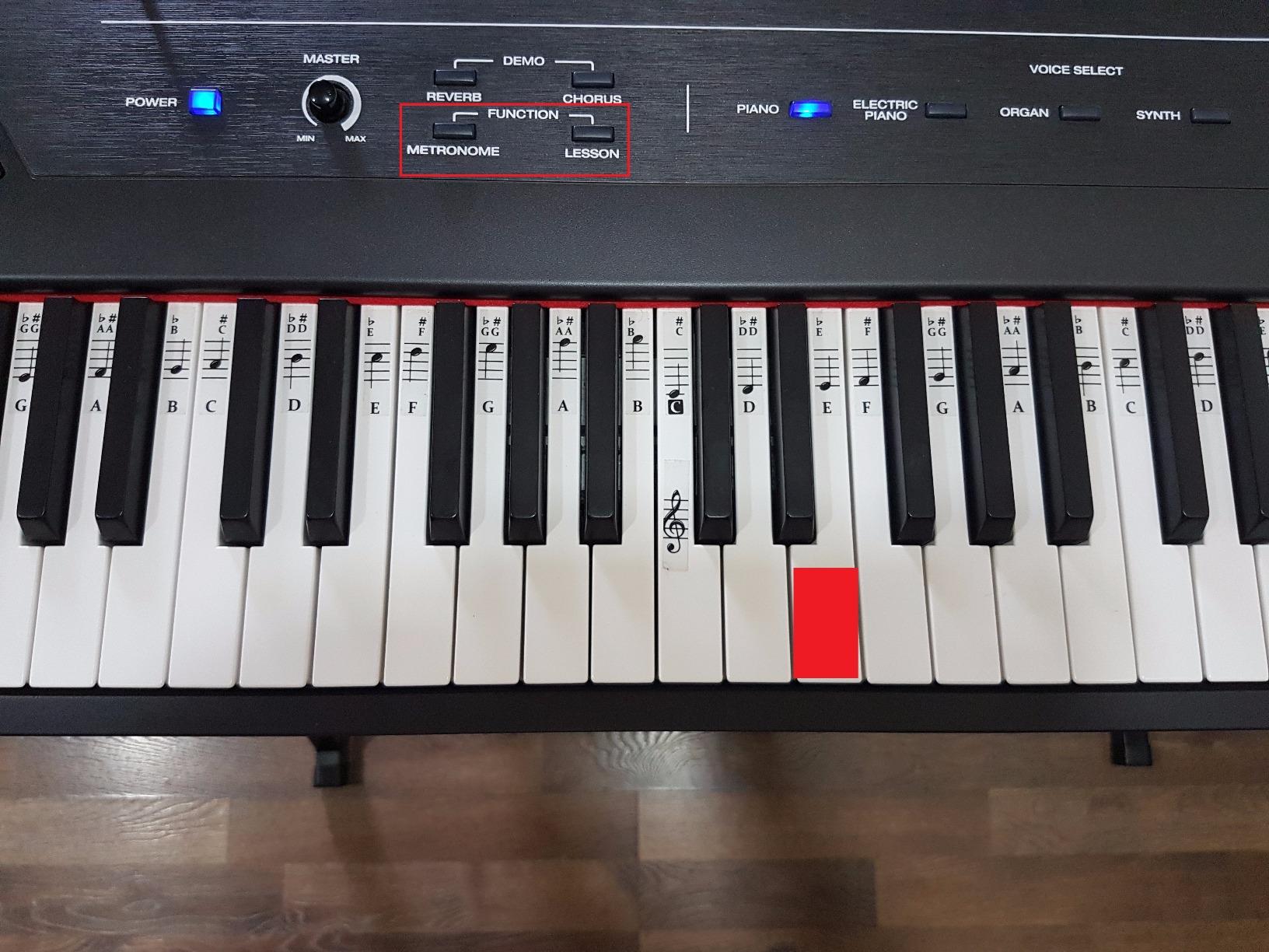 Alesis Recital 88-Key Digital Piano with Semi-Weighted Keys customer photo 2
