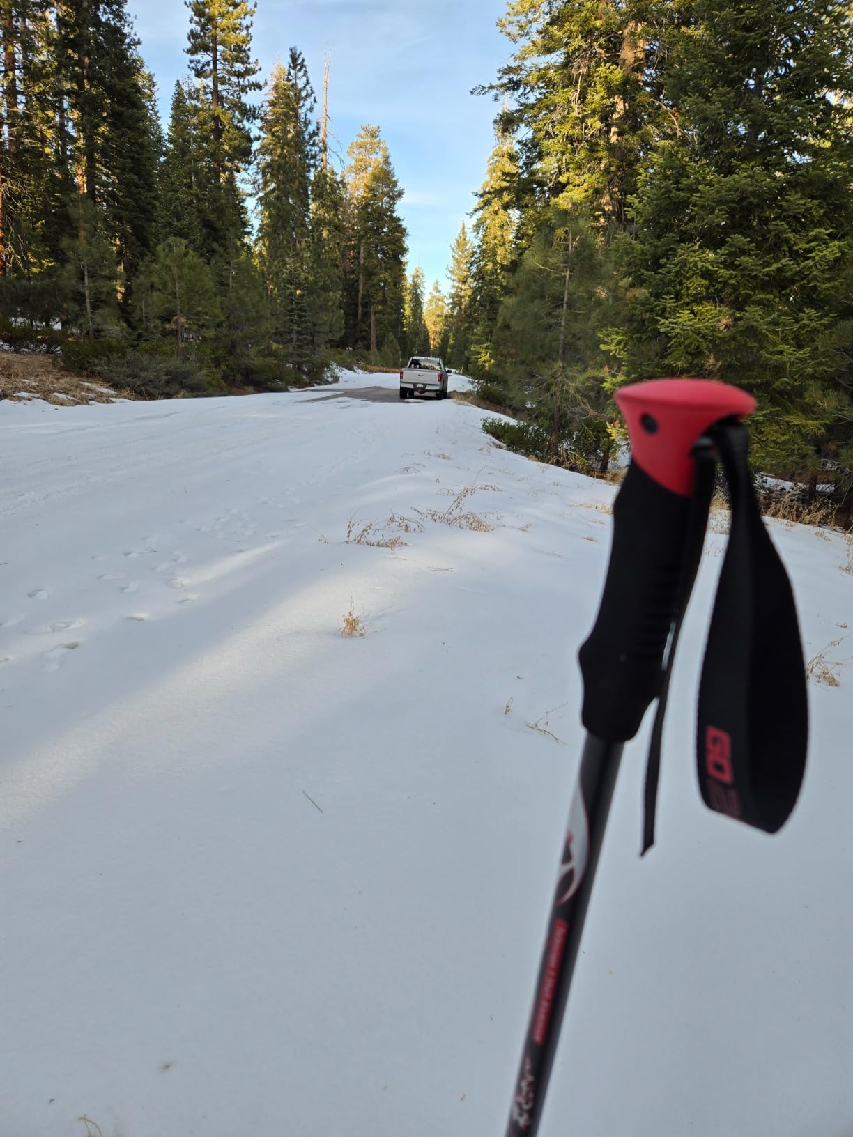 G2 21/25/30/36 Inches Light Weight Snowshoes with Trekking Poles, Tote Bag, Special EVA Padded Ratchet Binding, Heel Lift, Toe Box(6 Colors Available) customer photo 2