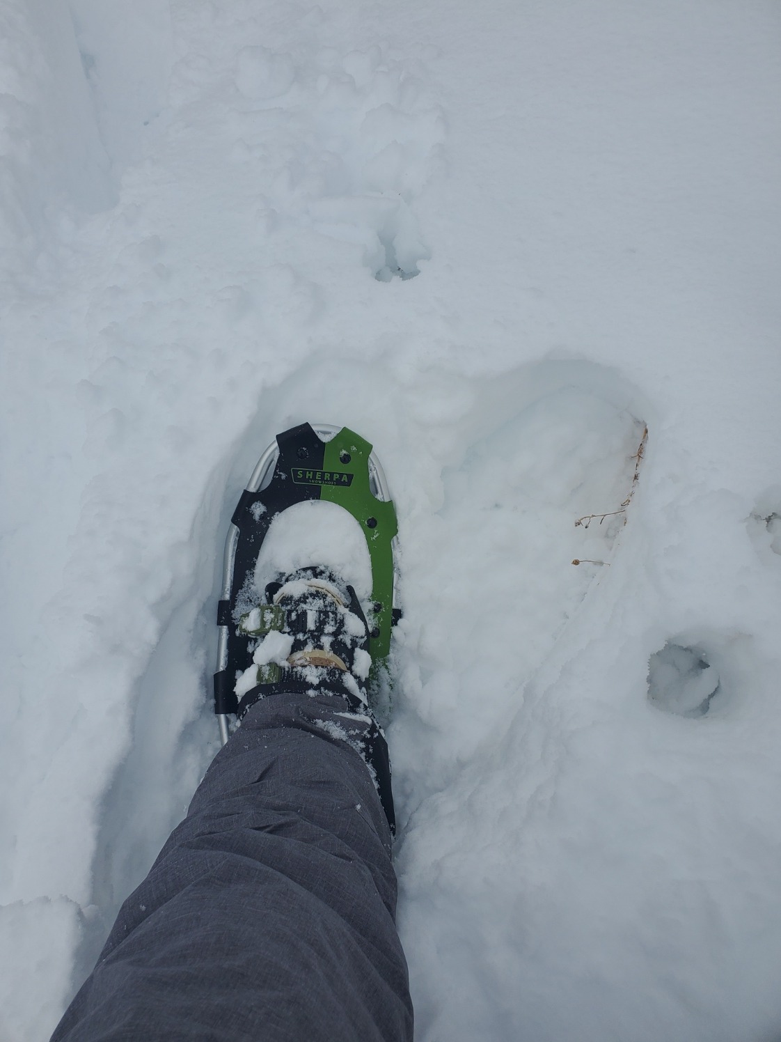 Yukon Charlie's Sherpa Snowshoe, Snowshoes for Men & Women, Snowshoeing Kits for All Skill Levels, Multiple Sizes & Models customer photo 2