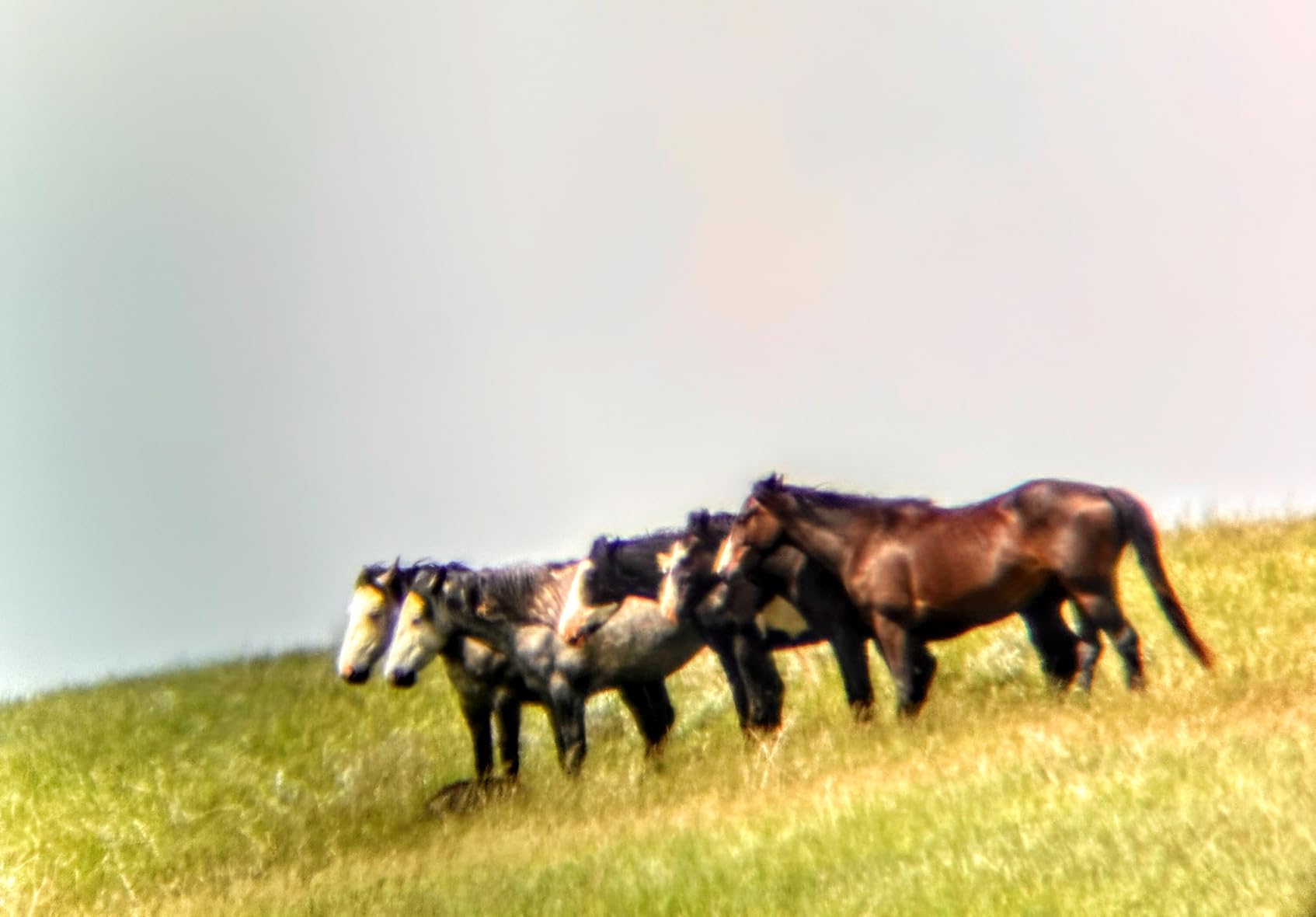 Athlon Optics Argos HD 20-60x85 Spotting Scope - 45 Degree, Green/Black customer photo 1