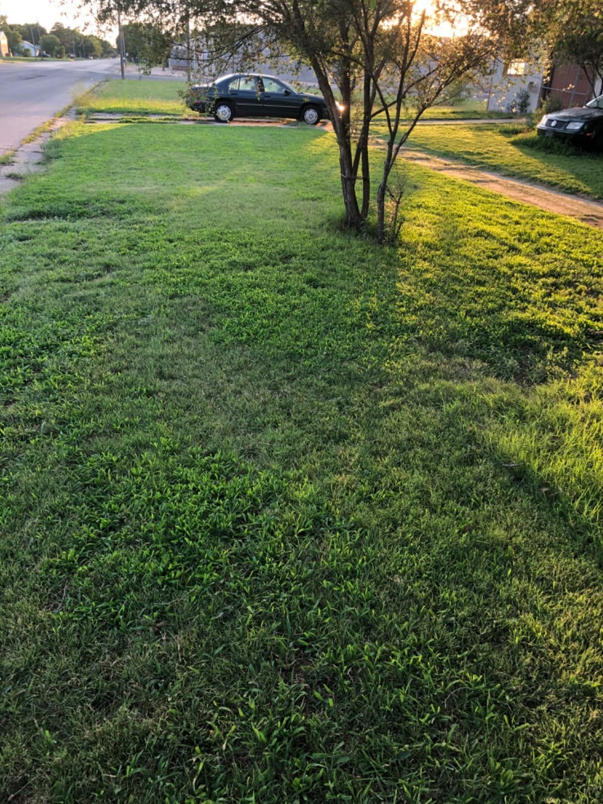 Sun Joe Cordless Electric Push Lawn Mower with 11-Gal Bag, 24V-X2-17LM customer photo 1