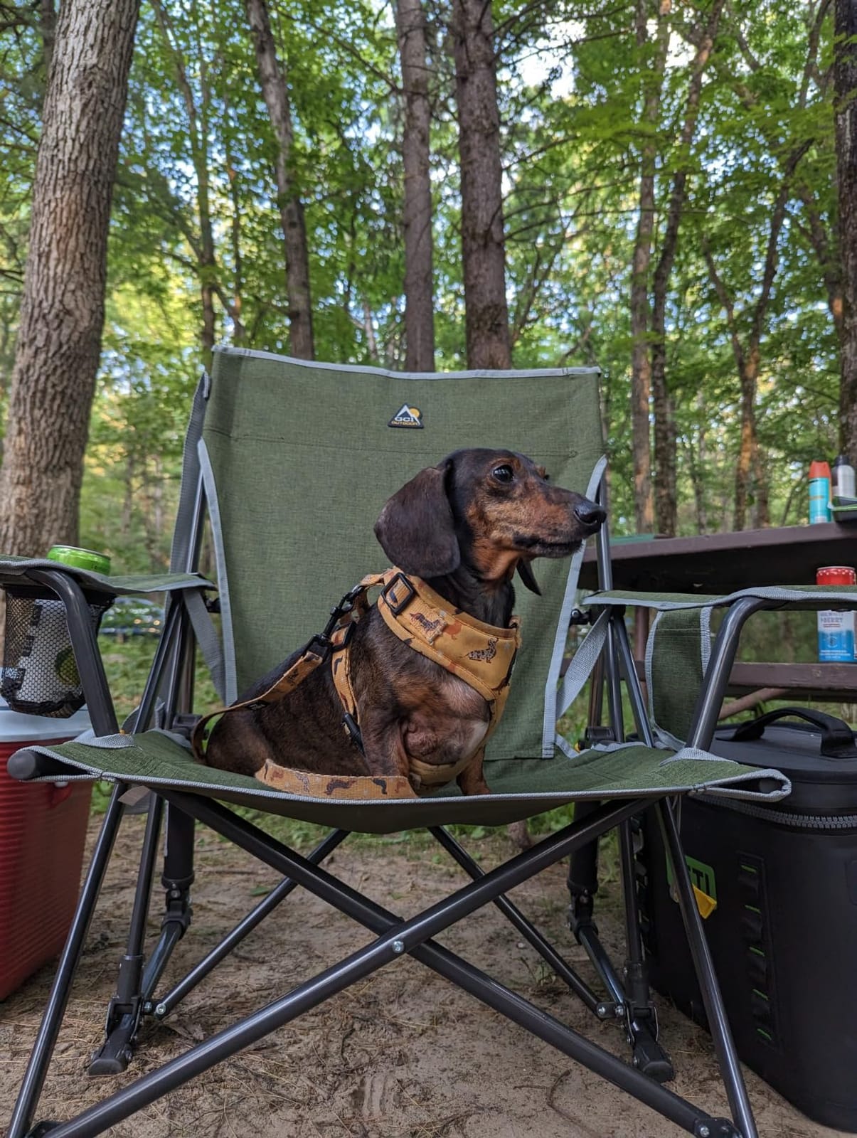 GCI Outdoor Kickback Rocker Camping Chair | Portable Folding Rocking Chair with Durable Armrests, Drink Holder & Relaxed Lowered Seat for Comfort — Loden Green customer photo 1