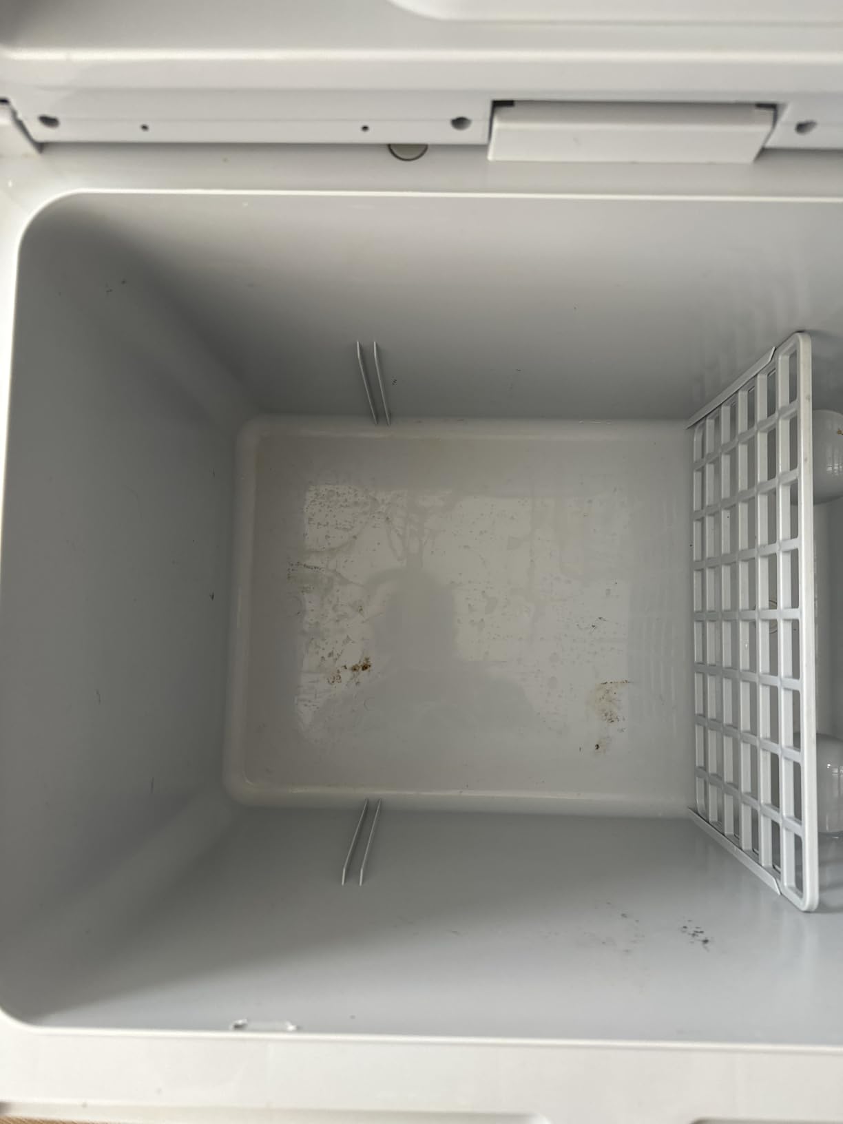 Ivation Electric Cooler & Warmer with Wheels & Handle |48 Quart (45 L) customer photo 1