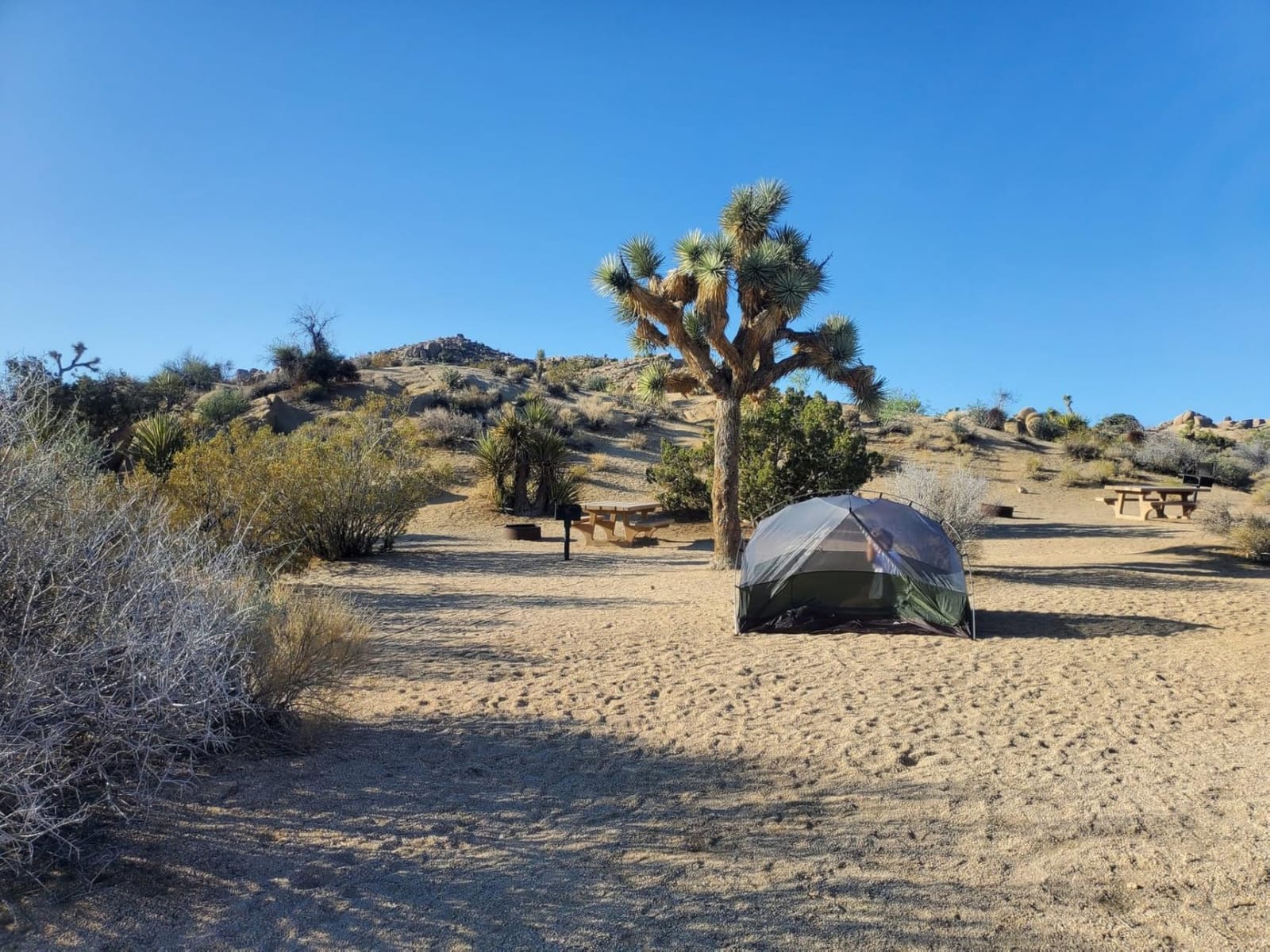 Forceatt Tent for 2 and 3 Person is Waterproof and Windproof, Camping Tent for 3 to 4 Seasons,Lightweight Aluminum Pole Backpacking Tent Can be Set Up Quickly,Great for Hiking customer photo 1