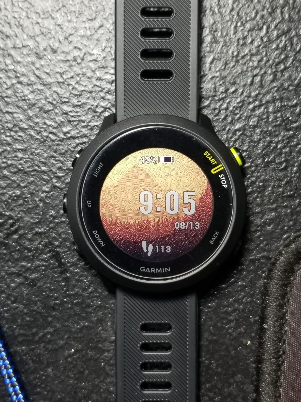 Garmin Forerunner 55, GPS Running Watch with Daily Suggested Workouts, Up to 2 Weeks of Battery Life, Aqua customer photo 1