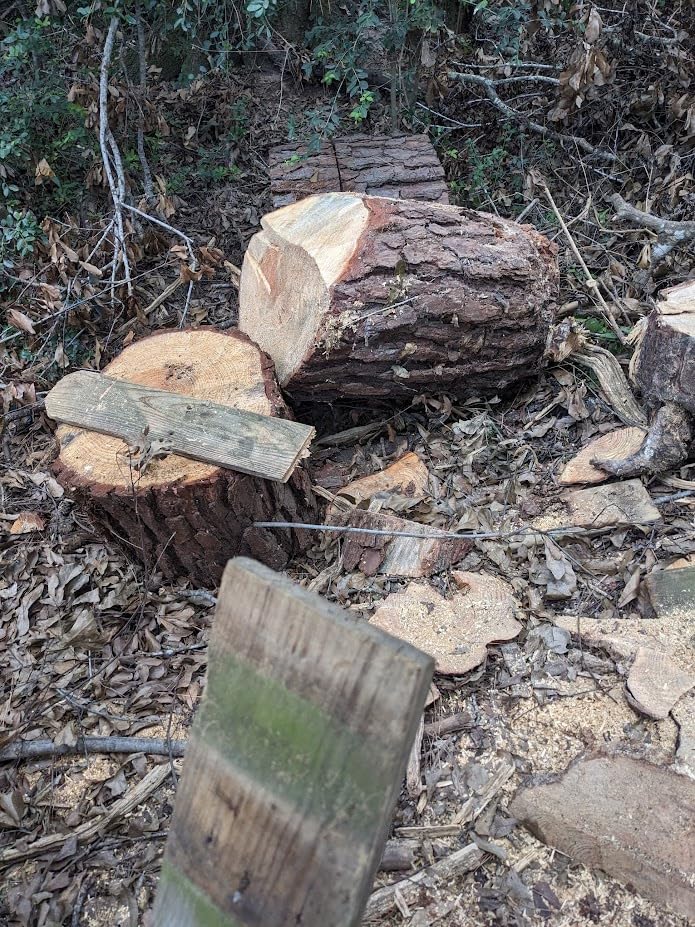 EGO POWER+ Chain Saw, 16” Battery Powered Chainsaw, Electric Cordless, Includes 56V 4.0Ah Battery and Charger – CS1613 customer photo 1
