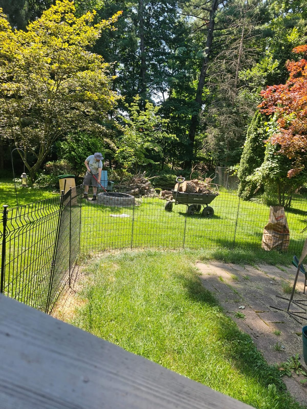 EGO POWER+ Chain Saw, 16” Battery Powered Chainsaw, Electric Cordless, Includes 56V 4.0Ah Battery and Charger – CS1613 customer photo 2
