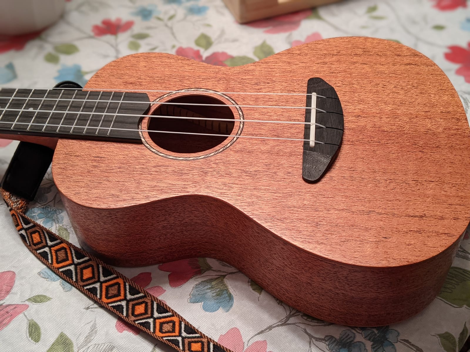 Donner Soprano Ukulele Mahogany 21 inch Ukelele Beginner Kit Online Lesson Gig Bag Strap Nylon String Tuner Picks Cloth DUS-1 Ukalalee Set Christmas Gift customer photo 2