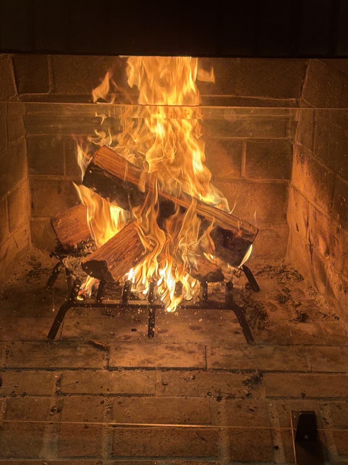 INNO STAGE 14 Inch Fireplace Grate with Ember Retainer customer photo 1