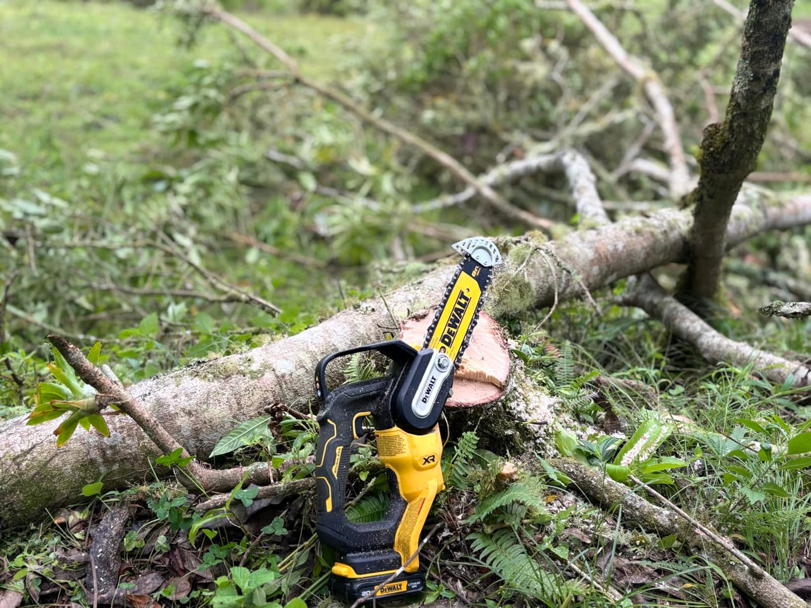 Dewalt Chainsaw Pruning CRDLS 20V 8IN DCCS623B customer photo 1