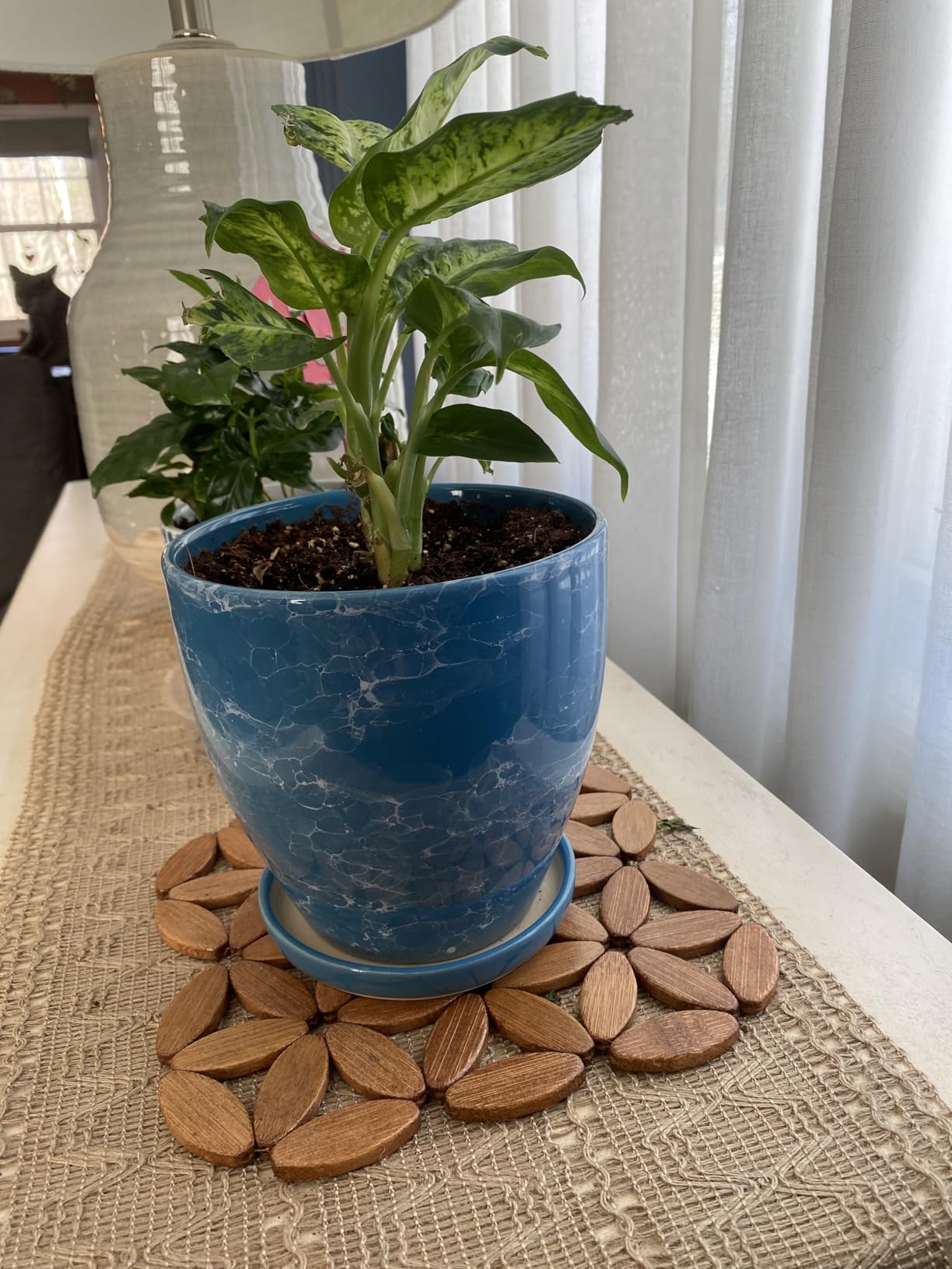 10 Inch Ceramic Planter Pot Round Plant Pot for Indoor Plants Outdoor Large Flower Pot with Drainage Hole and Saucer Blue customer photo 1