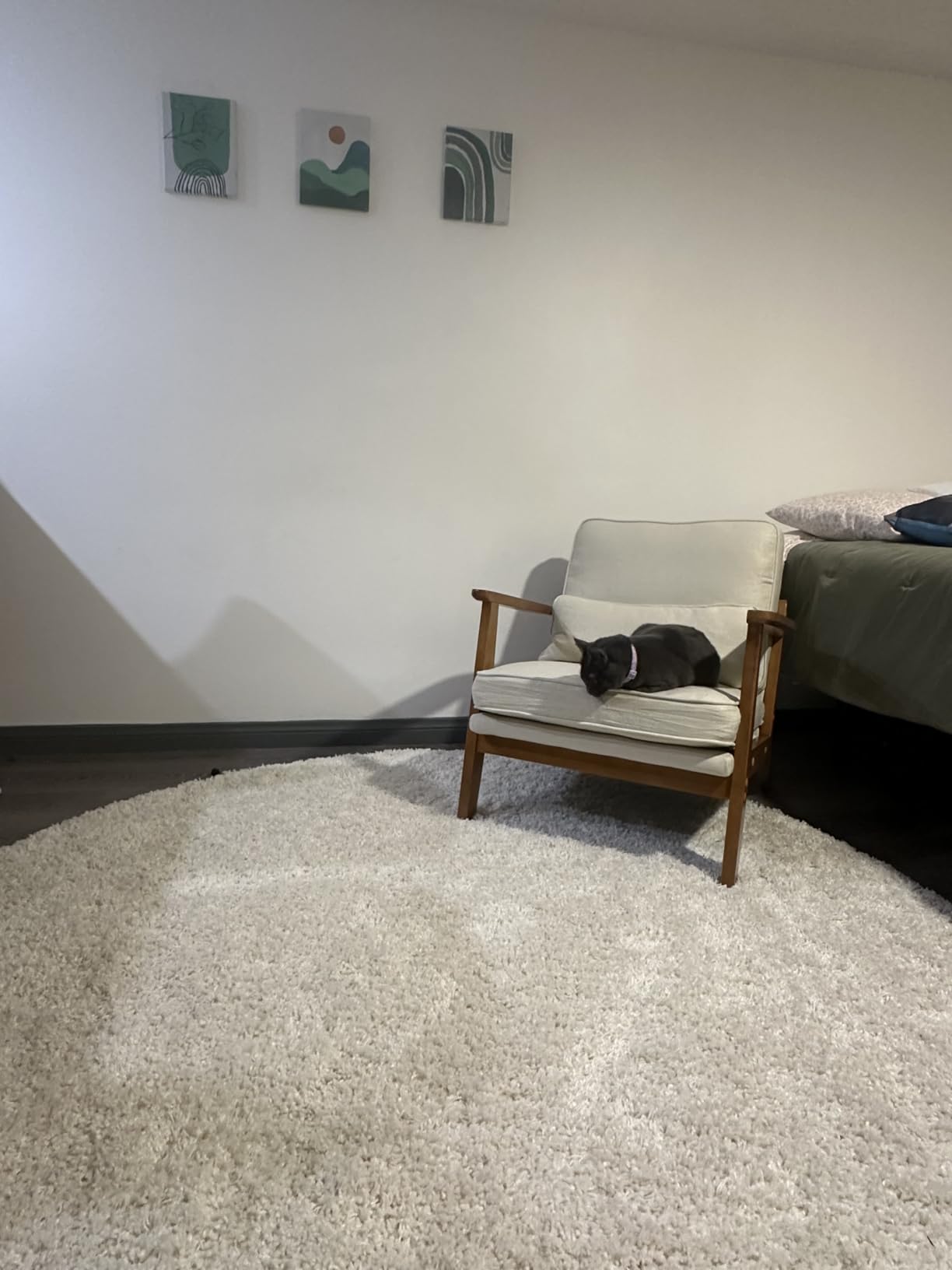 Karl home Mid-Century Lounge Accent Chair, Green customer photo 1
