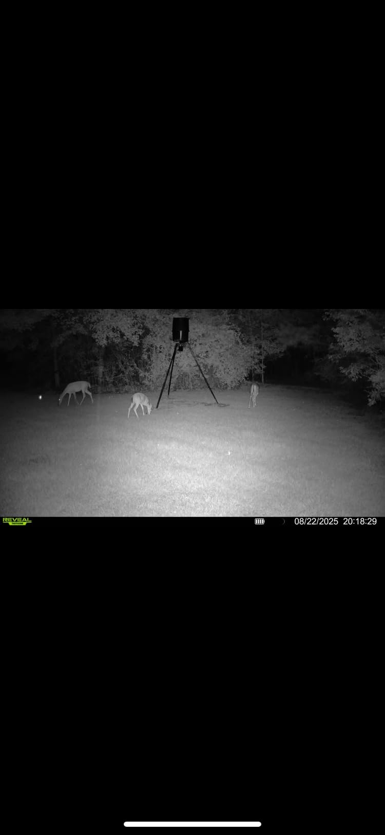 TACTACAM Reveal X 3.0 Cellular Trail Camera, Night Vision, Waterproof customer photo 1