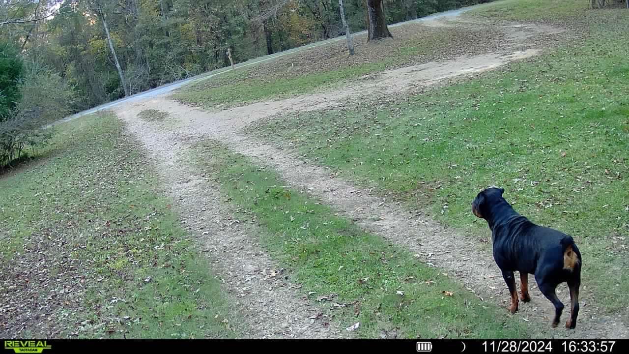 TACTACAM Reveal X 3.0 Cellular Trail Camera, Night Vision, Waterproof customer photo 2