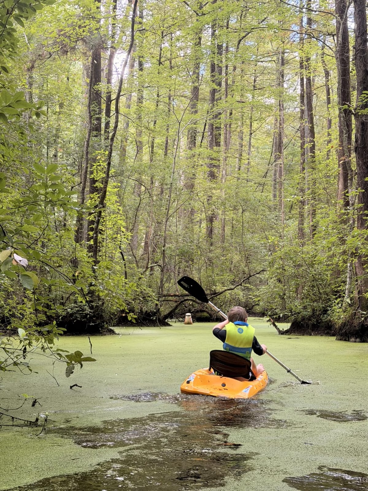 Pelican Solo - Sit-on-top Kayak - Youth Kayak - Perfect for Kids Comes with Paddle and Safety Flag - 6 ft. - Mango customer photo 1
