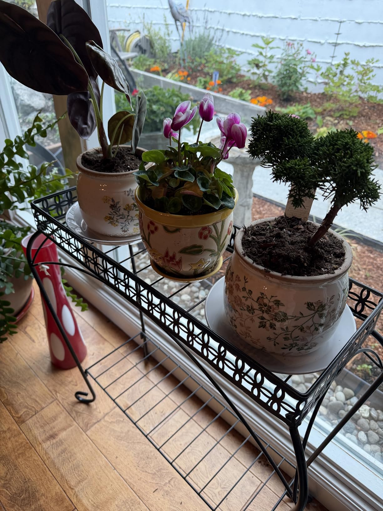 Xiaan Jiaju Pots for Plants, Ceramic Planters for Indoor/Outdoor Plants | 6.29