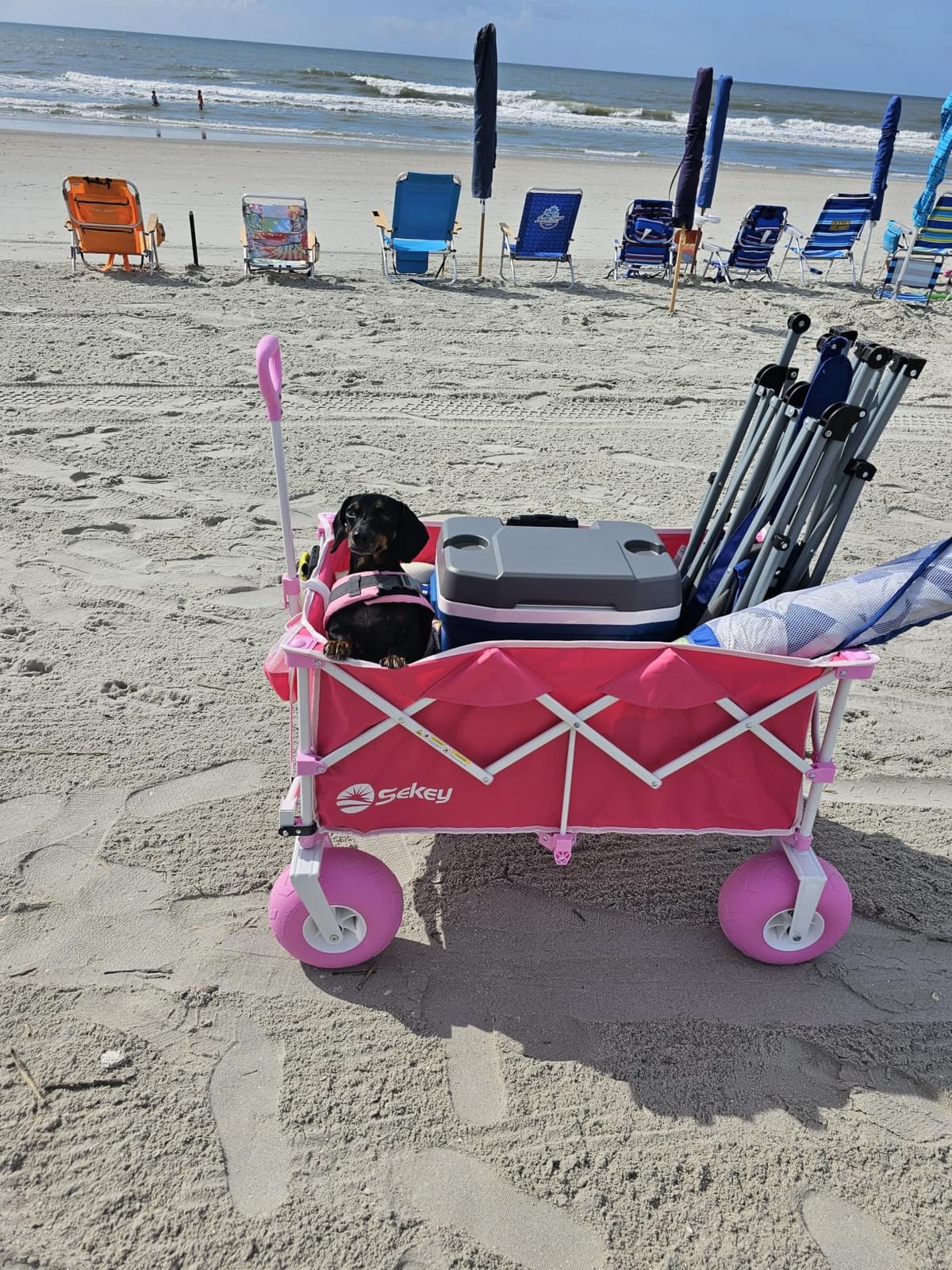 Sekey Heavy Duty Beach Wagon with 9